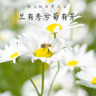 不知纪极