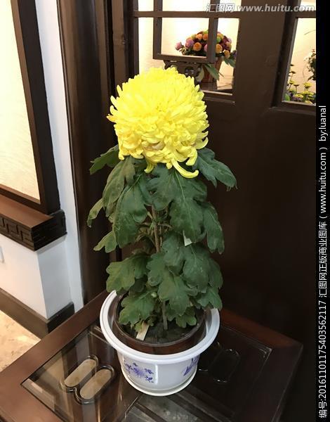 大匠运斤