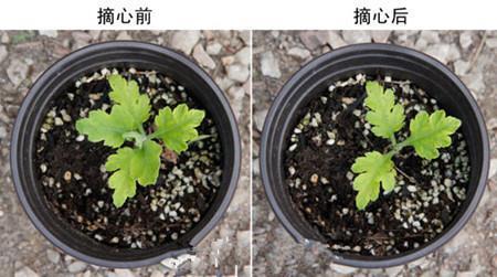 公道自在人心