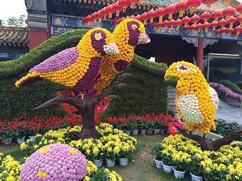 阖门百口
