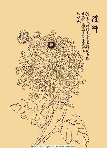 三折之肱