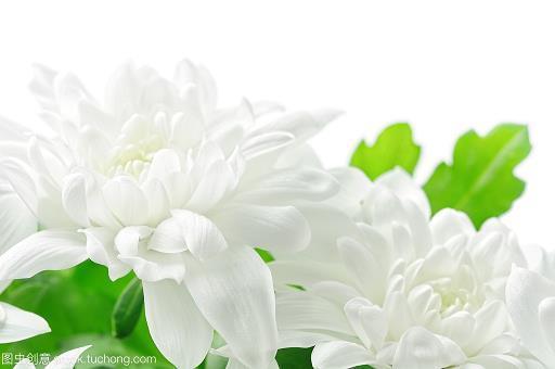 监主自盗