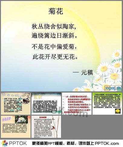 对花的赞美的优美句子