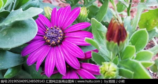 周听不蔽