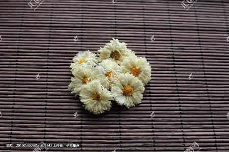 龙阳之兴