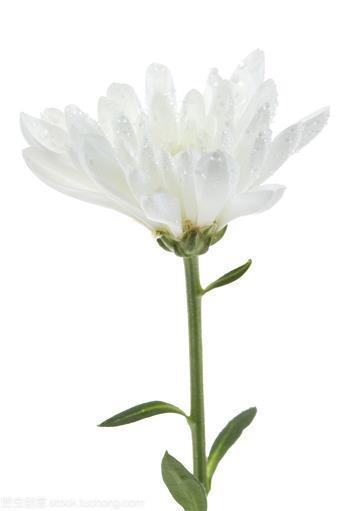 平平安安
