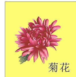 蜻蜓撼石柱