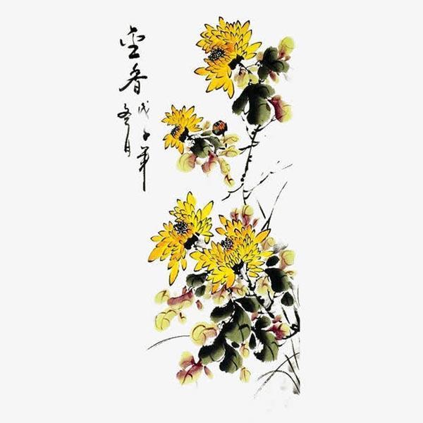 否往泰来