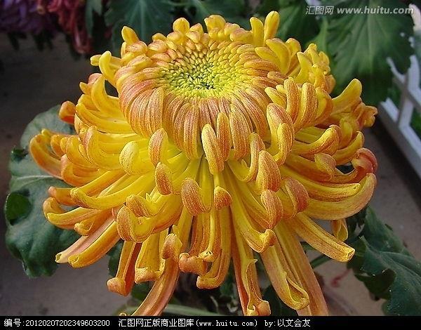 贪夫狥财