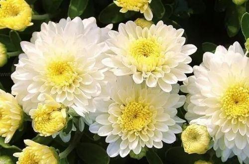 源源不断