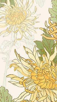 有本有源