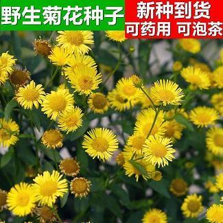 援引荐举