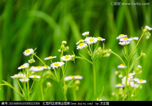 研机综微