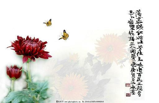 仪静体闲
