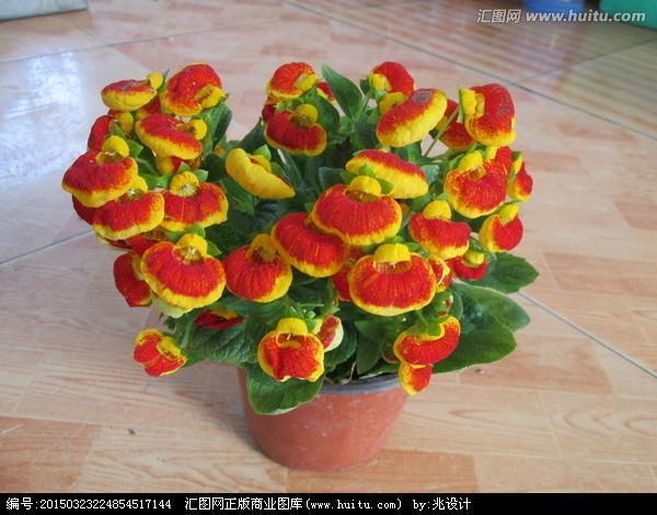 理所当然
