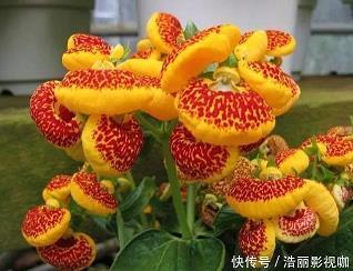 人心齐，泰山移