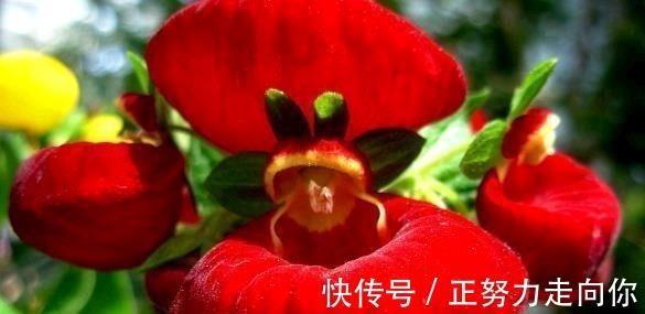 享有盛誉