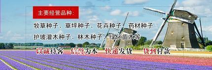 比张比李