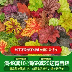 翻手作云覆手雨