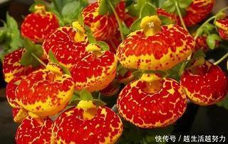 会少离多