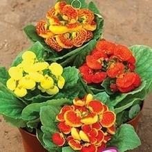 针芥相投