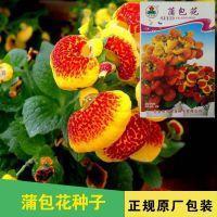 严师畏友