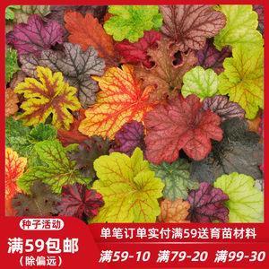 意气自若