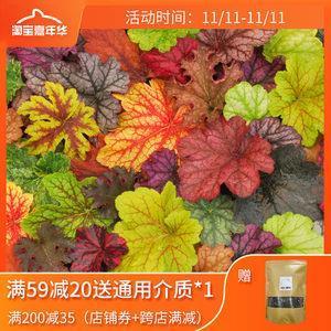 一文钱逼死英雄汉