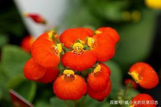 振笔疾书