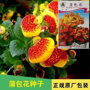 骨软觔麻