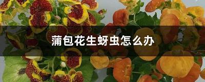席地而坐