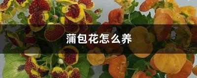 大路椎轮