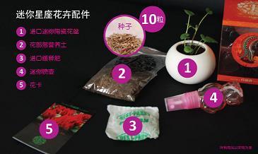 摄人心魄