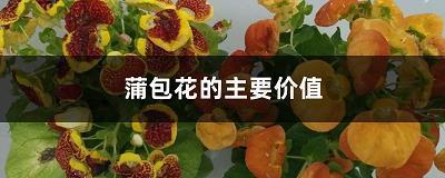 祁寒溽暑