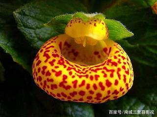 一举两全