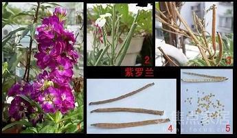 防微虑远