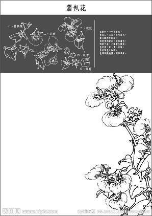 溢美溢恶