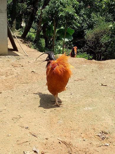 遁迹藏名