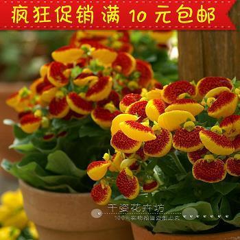 金字招牌