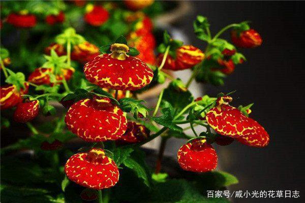 翘足可待