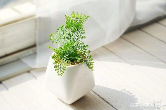 冰雪聪明