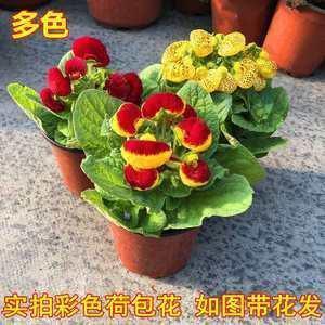 相助为理