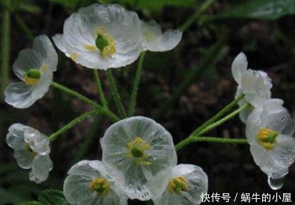 昂首挺胸