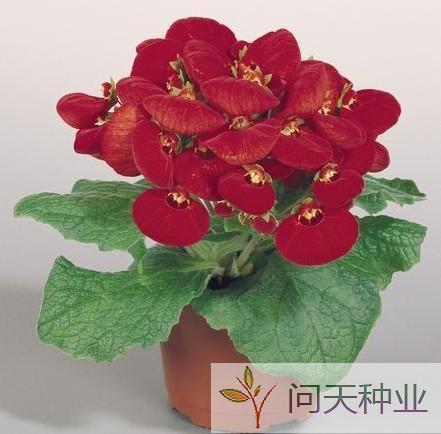 时亨运泰
