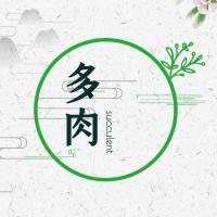 明珠弹雀