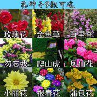 笼络人心