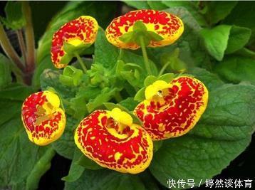 不药而愈
