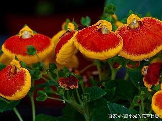 蚕绩蟹匡