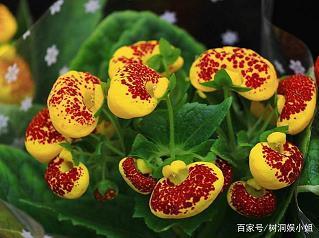 朋友圈早安心语正能量 清晨微语分享集锦26句