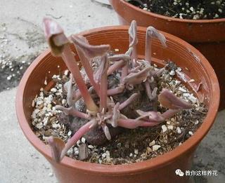 不理不睬